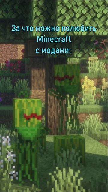 Красота Майнкрафта с модами