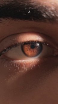 You might get this wrong! - iPhone VS DSLR 😬