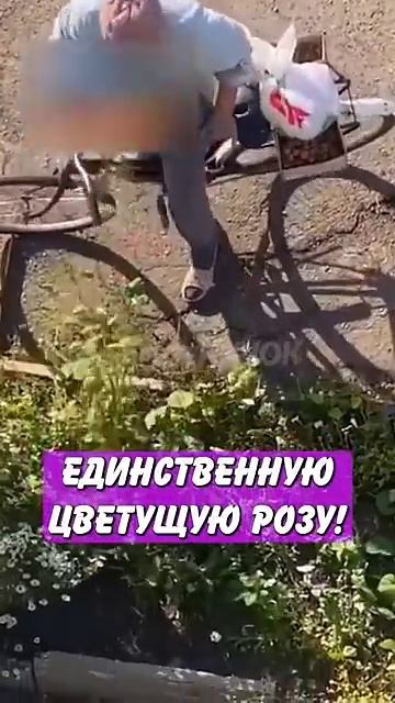 Новостничок (290)