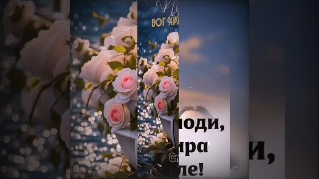 20-05-2025 ЛВЕ