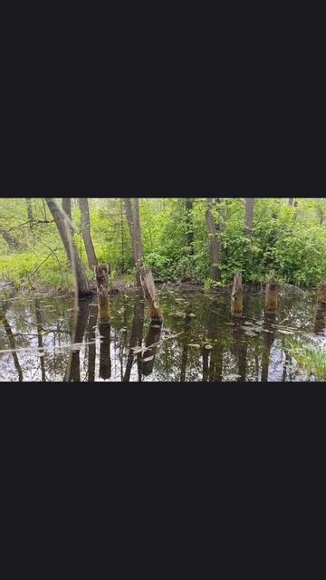 Шурф старой мельницы. Полное видео на канале. Есть канал на YOU- TUBE. Ссылка в описании видео.
