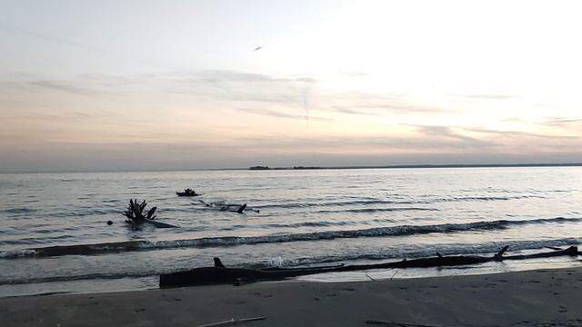 Костёр на дне Обского моря: и снова к нашим европейским баранам, Европа хочет воевать с Россией 🇷🇺