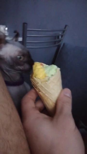 Мороженка🍦