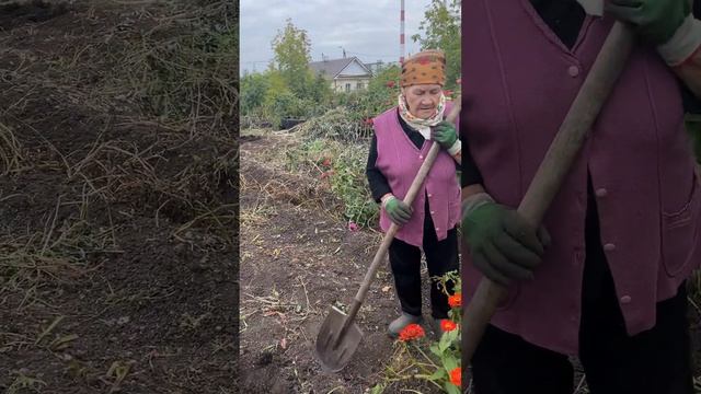 МАМКА САМА ВЫКОПАЛА ВСЮ КАРТОШКУ