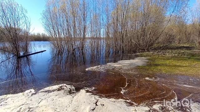 Весенняя природа .