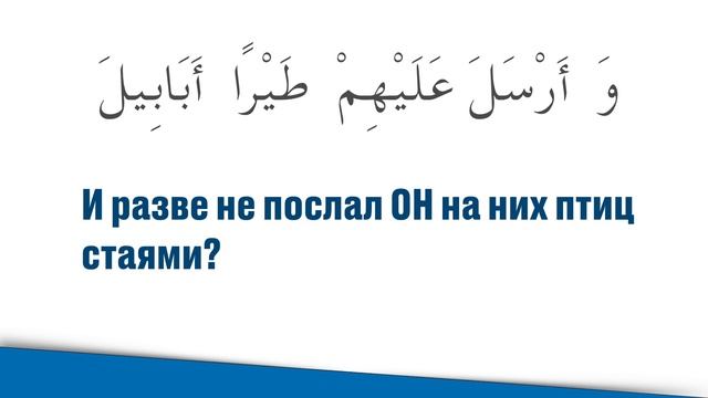Сура - 105 Аль Филь الفيل «Слон». Коран, Суры и Аяты из Корана
