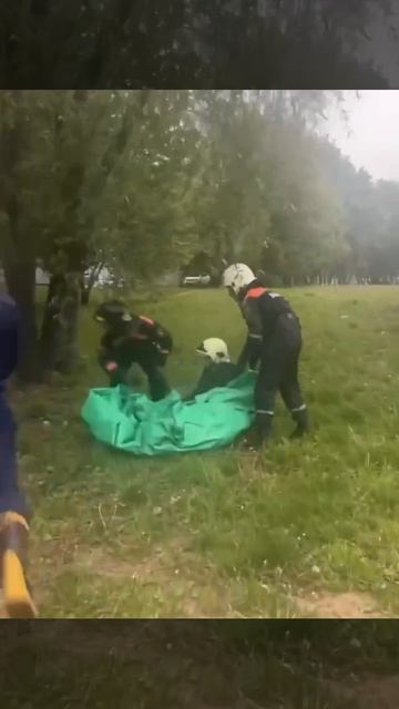 🐈Потерявшегося кота стрясли с дерева в Москве🐈