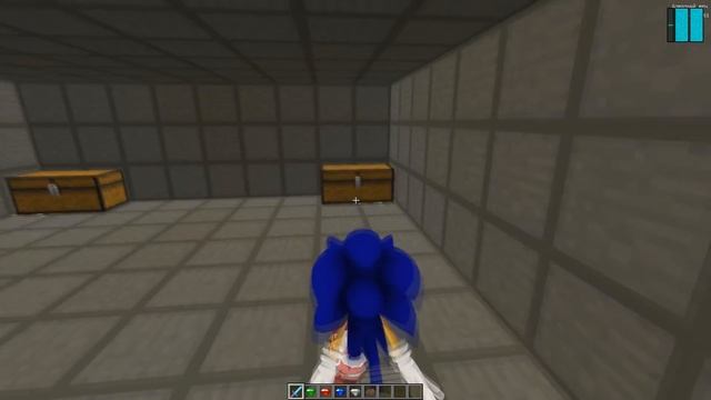 КАК МЕНЯЛСЯ СОНИК И ЕГО ЖИЗНЕННЫЙ ЦИКЛ В МАЙНКРАФТ/ЭВОЛЮЦИЯ СОНИКА В MINECRAFT/SONIC