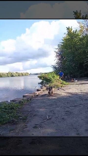 Рыбалка на сома ТЭС,г Пенза