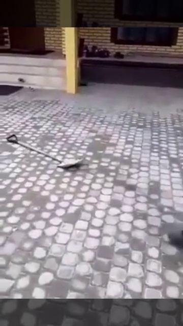 Растет будущий тестировщик