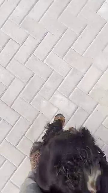1000025076.mp4