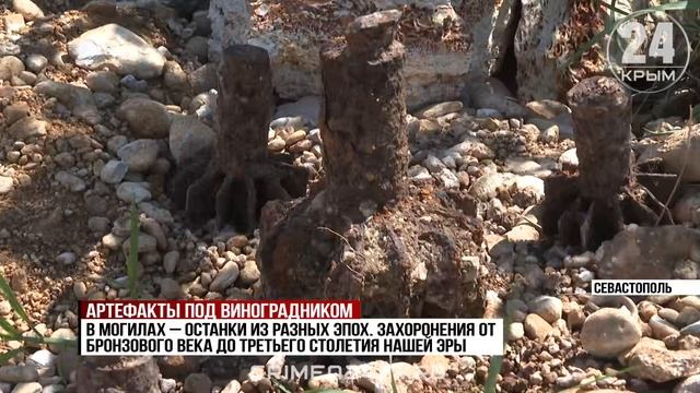 Под Севастополем обнаружили могилу сарматского ребёнка