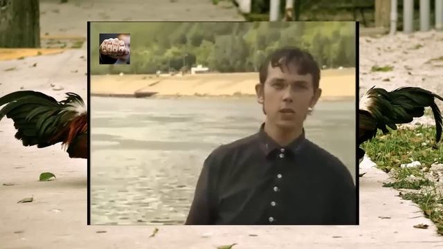 Приколы на ТВ в прямом эфире