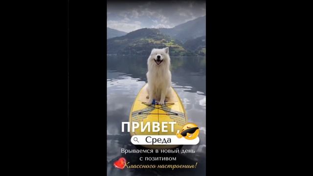 Сап прогулка