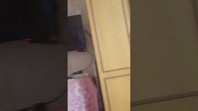Жизнь