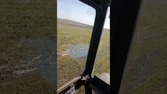 Боронование пшеницы 9.04.2018