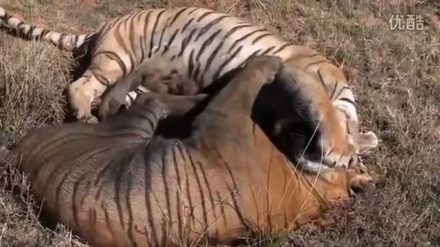 Моменты со стрима Дядя ЮРА часть 2