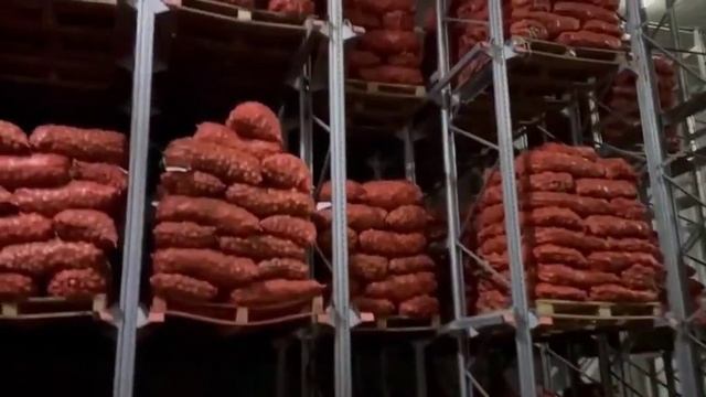"Агро Прогресс" в программе ФНТП развития картофелево?
