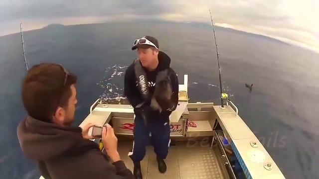 Подборка приколов! Приколы над людьми! Смешные неудачи! Смешные падения! Приколы про баб!