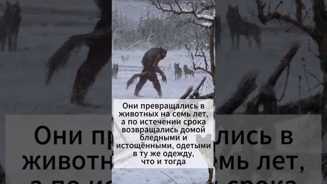 Славянская демонология: Оборотень.