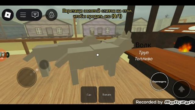 1000016256.mp4