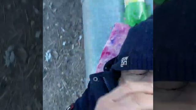 Букет из белых роз #непогода #собака