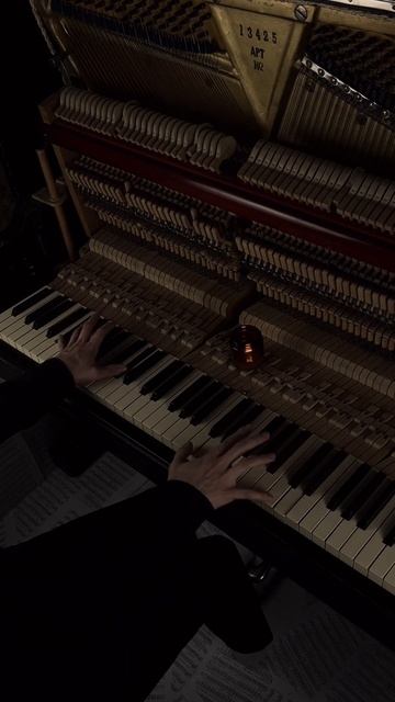 Kara Sevda | Antalaman #aesthetic #piano #calm