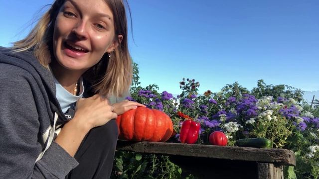 Veggies in the garden with Sasha