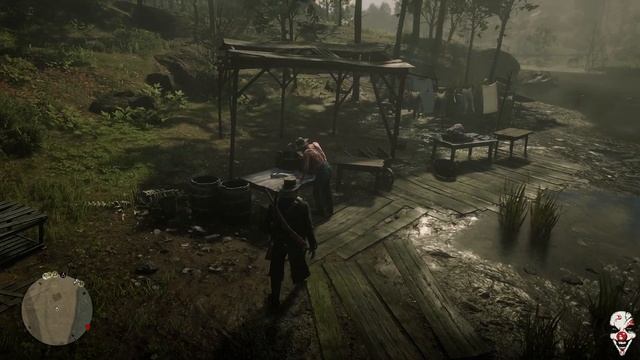Red Dead Redemption 2. 29 Сокровища ядовитой тропы, Ванхорн и странный дом