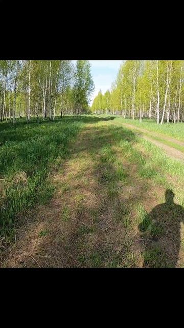 Трава под кроссовками.