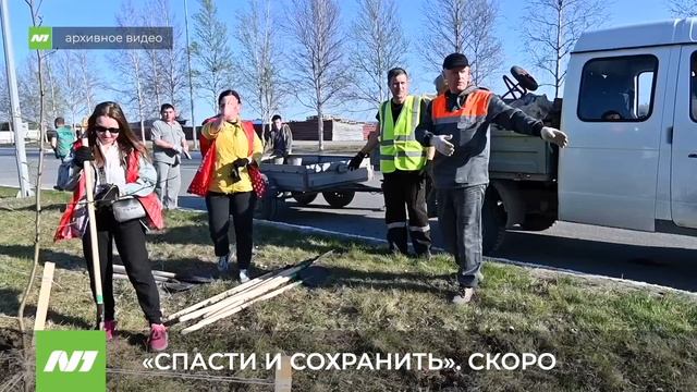 В Нижневартовске пройдёт международная экоакция «Спасти и сохранить»