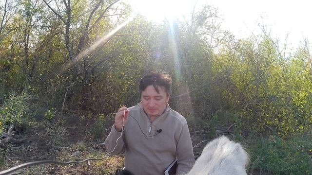 Тест: как проверить себя?