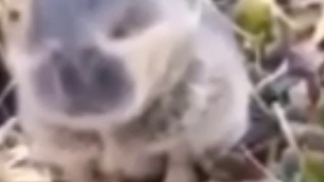 а кто не подписался...