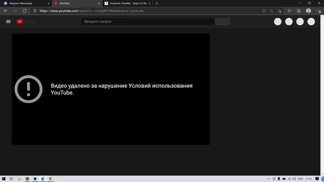 Новости канала Мэйфлауэр: телеграм, удаленное видео, к
