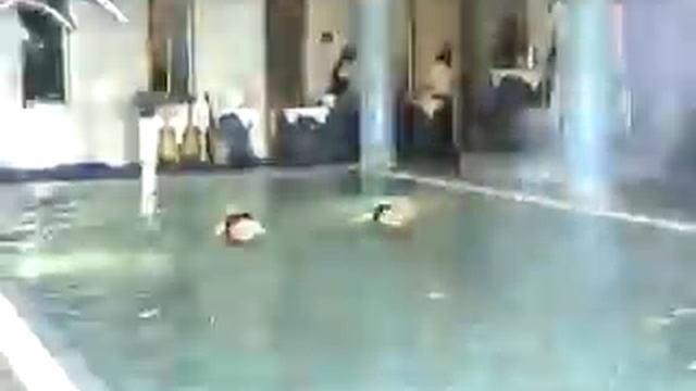 Водянной балет - "Aqua Life"