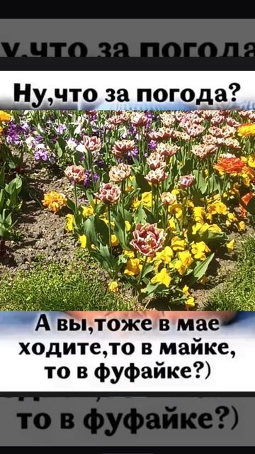 Ну, что за погода 🌍☀⛅☁💧⚡❄