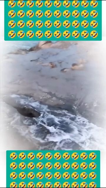 Дырка! 🤪🤣😄