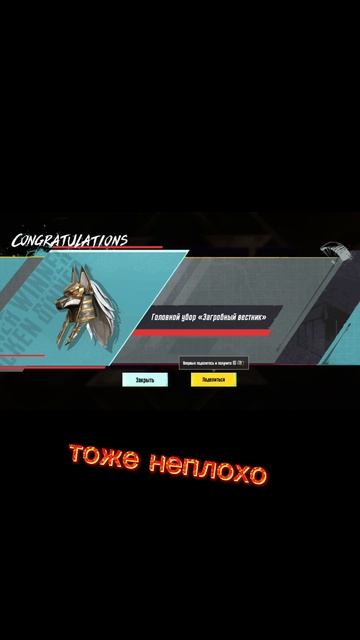 1000014341.mp4