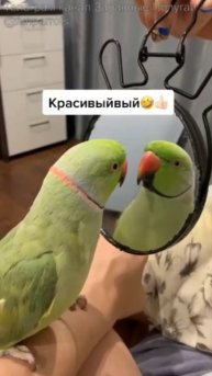 VID_20250521_164047_738.mp4