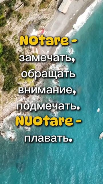 Notare e nuotare - Анастасия Тороп - Академия Анвила