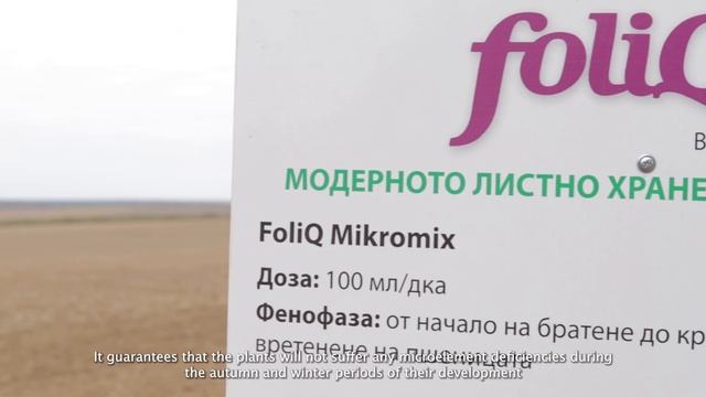Листни торове FoliQ от Агротайм: Технология в пшеница