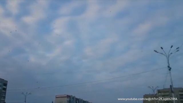 В Кемерово запустили сотни белых шаров в память о поги