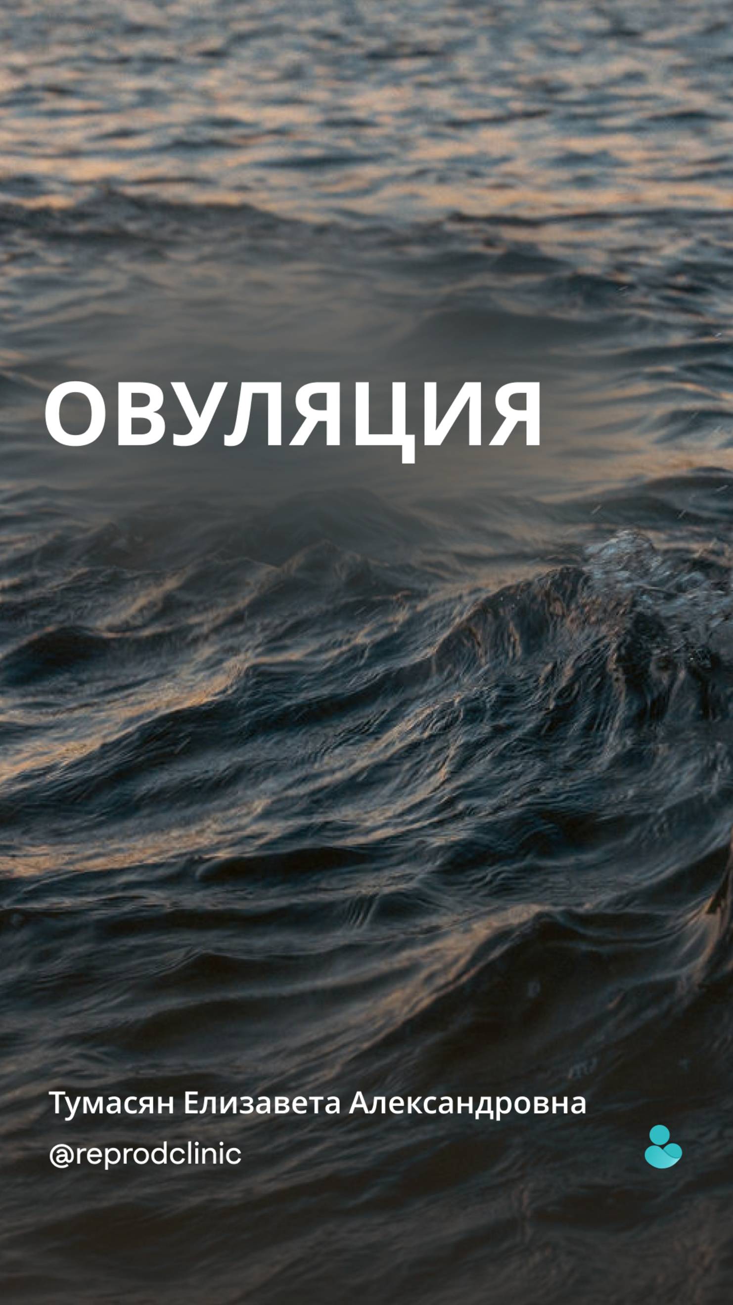 Рассказываем, что такое овуляция