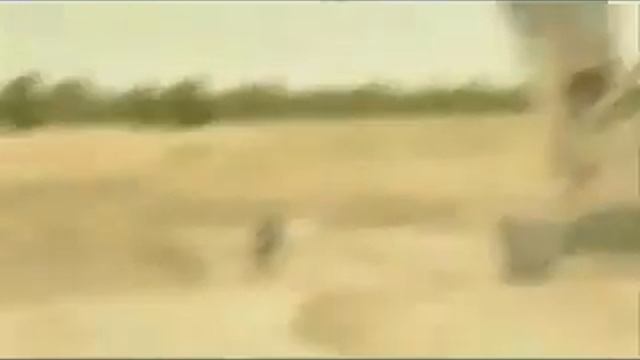 блин, вот это прикол )))