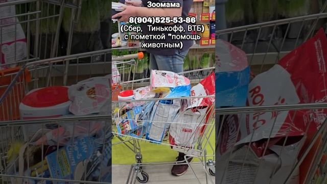 Подопечным канала Зоомама нужна помощь