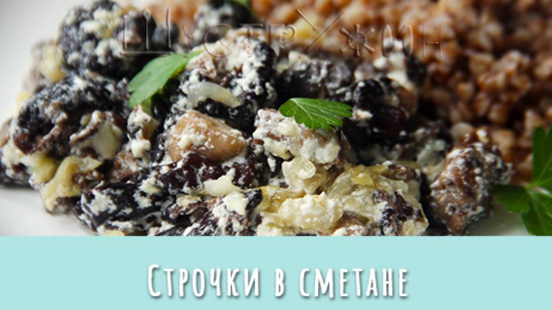 Грибы строчки в сметане. Как приготовить строчки со сметаной.