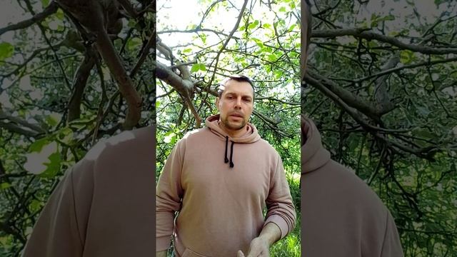 20250521_171615.mp4
