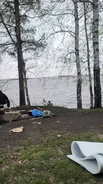 отдам даром
