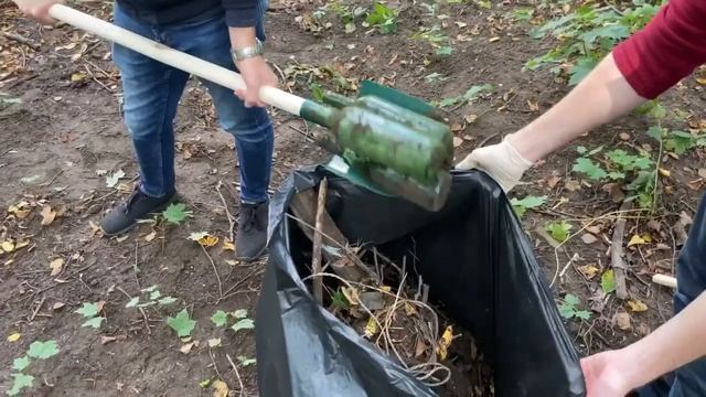 Команда Recovery MSPU участвовала в субботнике от общероссийского движения «Зелёная Россия»