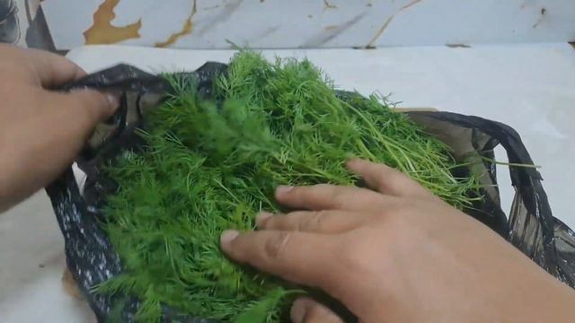 Укроп #укроп #🇹🇯 #душанбе2025 #душанбе #shorts #shortsvideo #tj #uz #